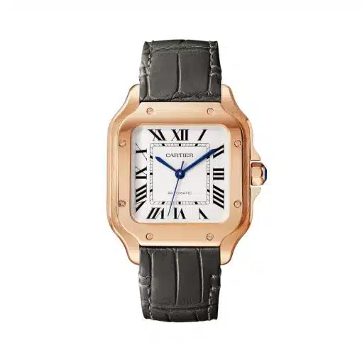 cheap Cartier WGSA0028 Santos de Cartier Opaline Dial Medium replica watch